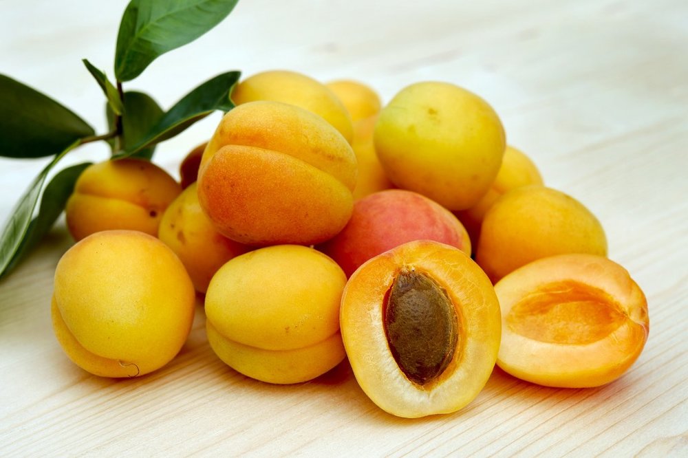 apricots-2523272_1920.thumb.jpg.f7a514c4006740822738b21c4d3784f4.jpg