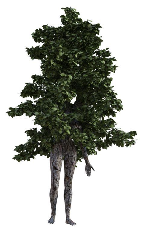 woman-1798835_1920.thumb.png.7ae8b75ddccfe99469475fdeabb7fbff.png